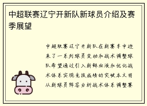 中超联赛辽宁开新队新球员介绍及赛季展望